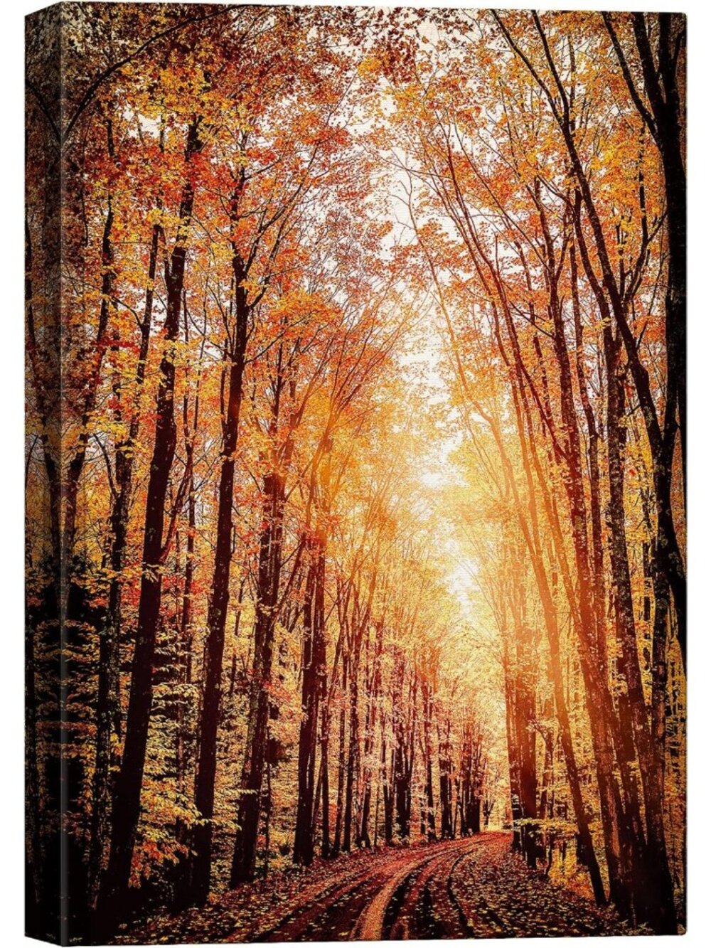 Rustic Autumn Forest Canvas Wall Art - Colorful Nature Photography for Home